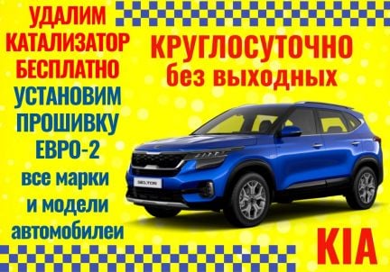 Бесплатное удаление катализатора на KIA  Армавир