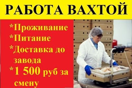 Грузчики/фасовщики(цы) на пищевое производство  - купить на сайте объявлений Белореченск онлайн