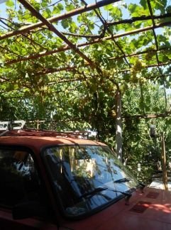 Дача 32 м кв. на участке 6 сот.  Армавир