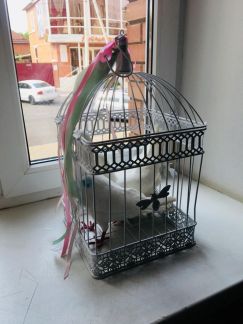 Клетка для голубей  Армавир